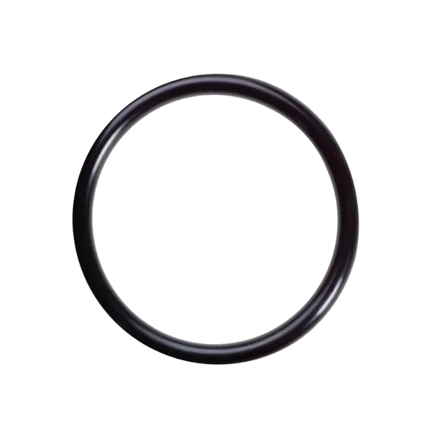 Anel Oring